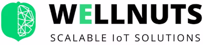 Wellnuts logo