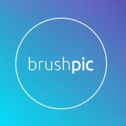 BrushPic logo