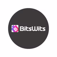 Bitswits logo