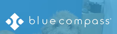 Blue Compass logo