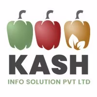 Kash Info Solutions logo