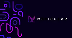 Meticular logo