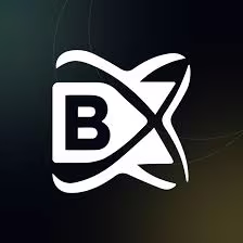 BlockchainX logo