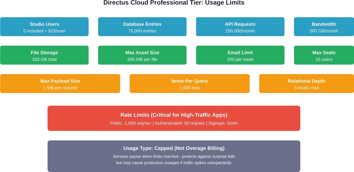 Complete breakdown of Directus Cloud Professional tier technical limits and usage caps at $99/month.